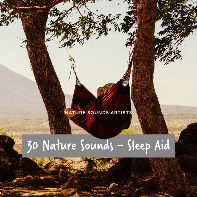 30 Nature Sounds - Sleep Aid - Album by Nature Sounds Artists | Spotify