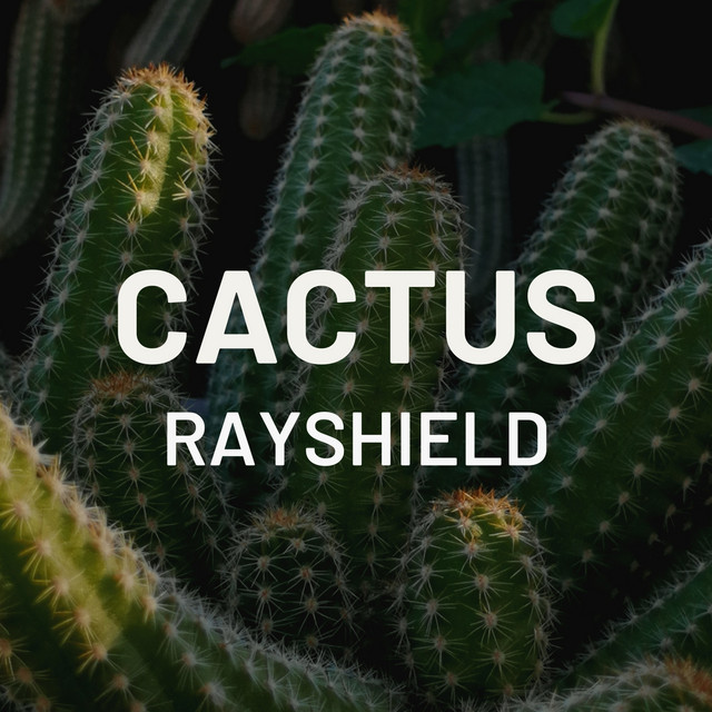 Cactus cover art