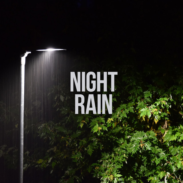 Night Rain cover art
