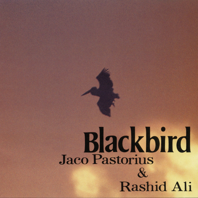 BLACKBIRD cover art