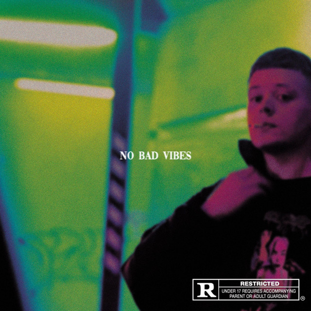 No Bad Vibes cover art