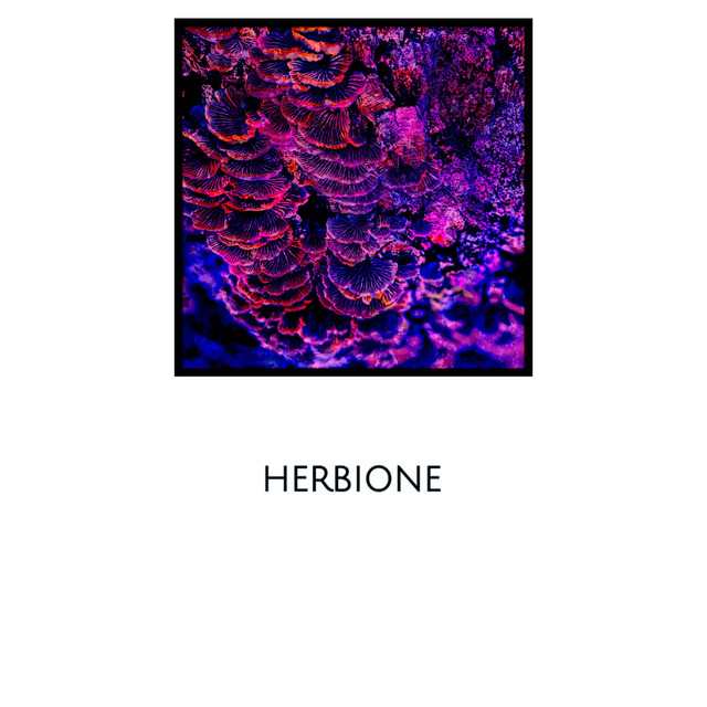 Herbione cover art