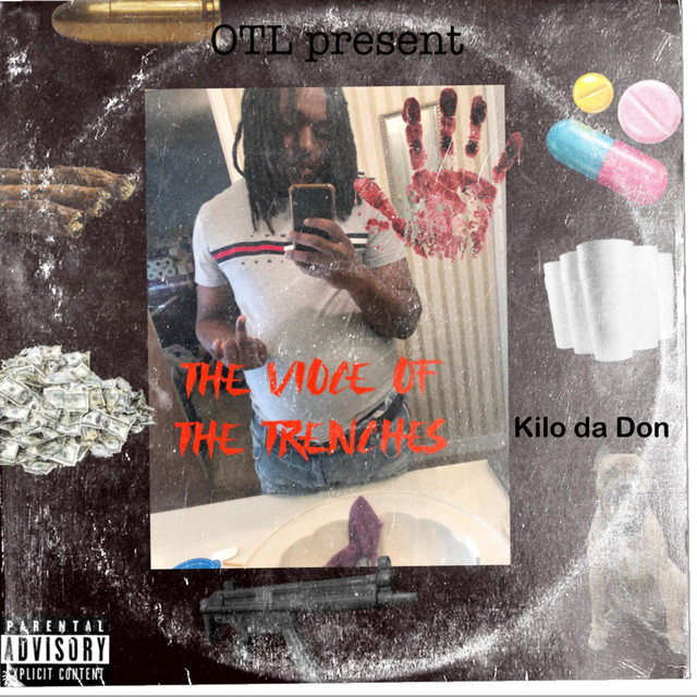 Voice Of Da Trenches cover art