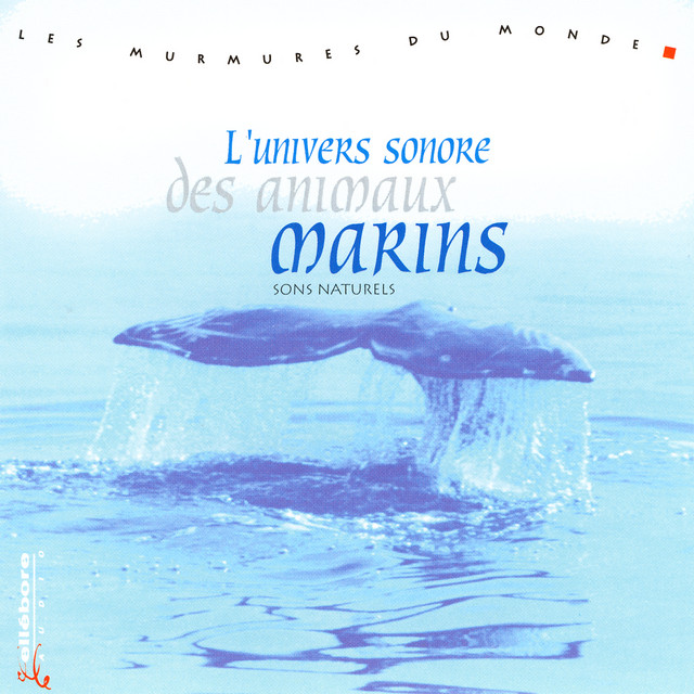 L Univers Sonore Des Animaux Marins Single By Les Murmures Du Monde Spotify