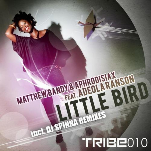 Little Bird - DJ Spinna Mix cover art