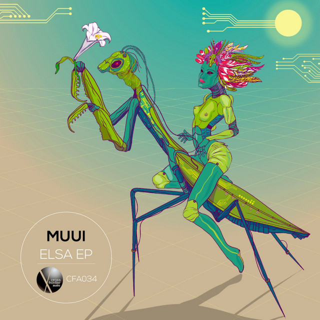 Down Five album art