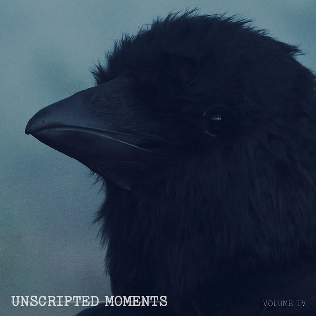 Unscripted Moments, Vol. IV