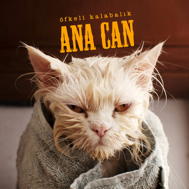 Ana Can cover art