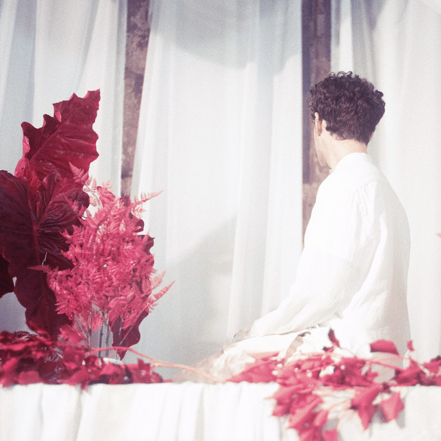 FROM BELOW cover art