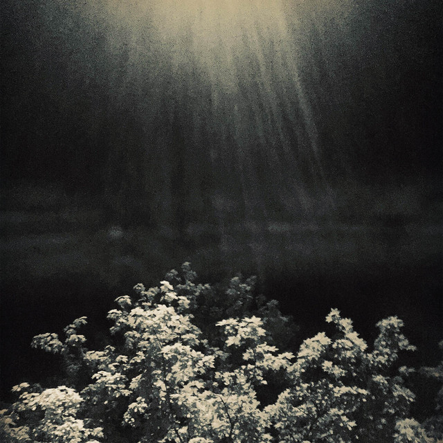 Arioso cover art