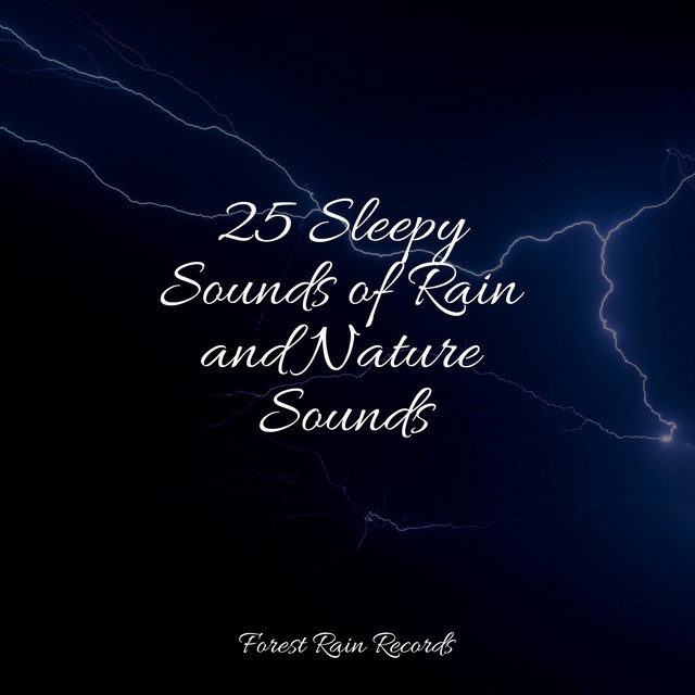 25 Sleepy Sounds of Rain and Nature Sounds - Album by Spa Relaxation ...