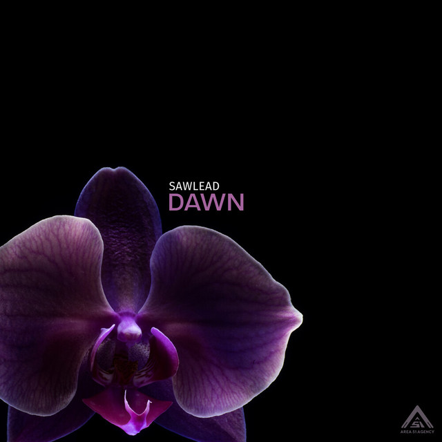 Dawn cover art