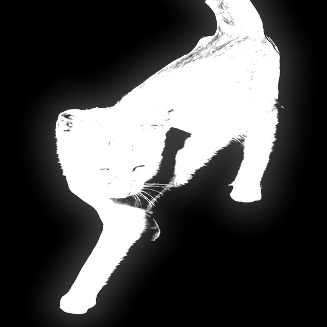rip cover art