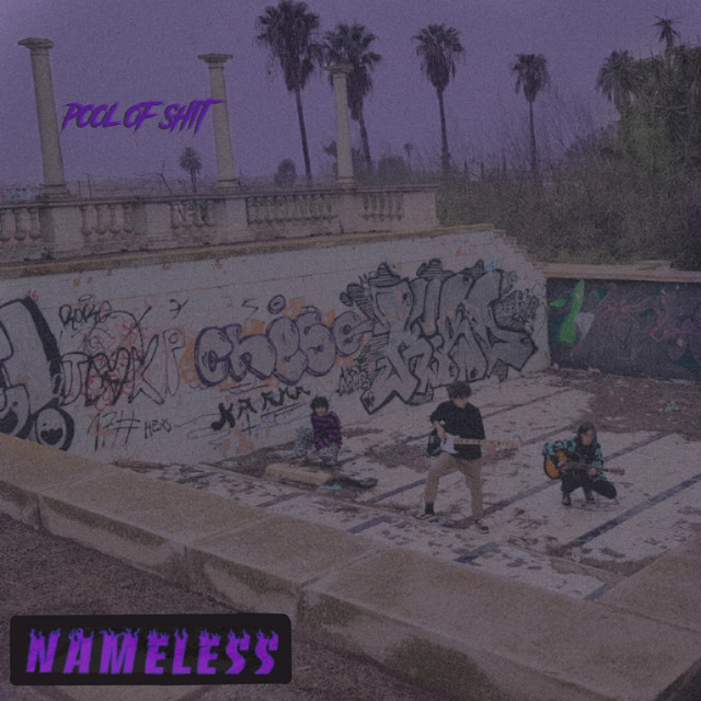 pool of shit cover art