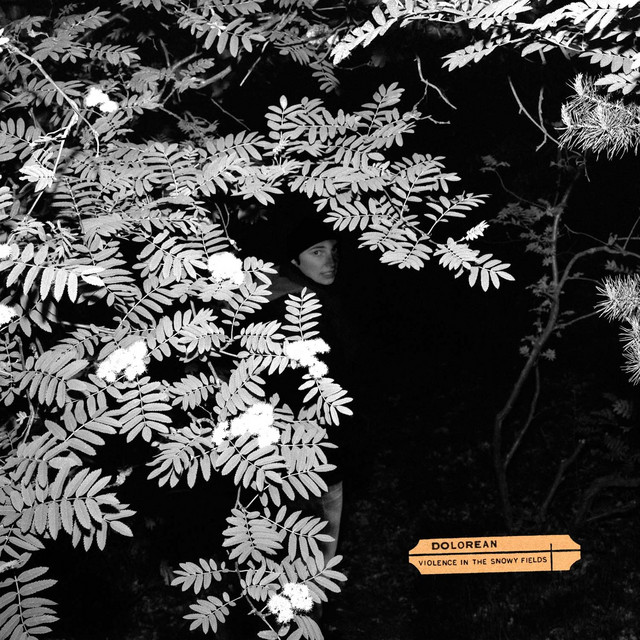 Violence In The Snowy Fields cover