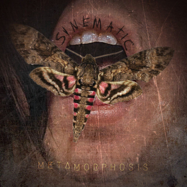 Metamorphosis - Single by Sinematic | Spotify