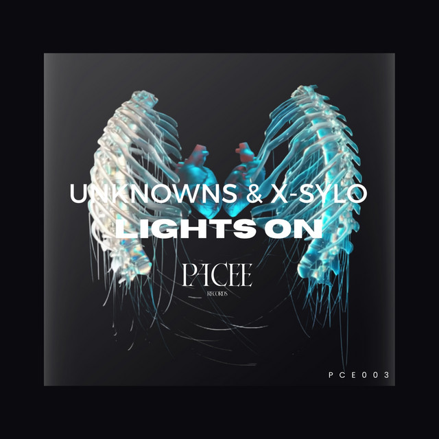 Cover art: Lights On - Extended Mix — UnknownS