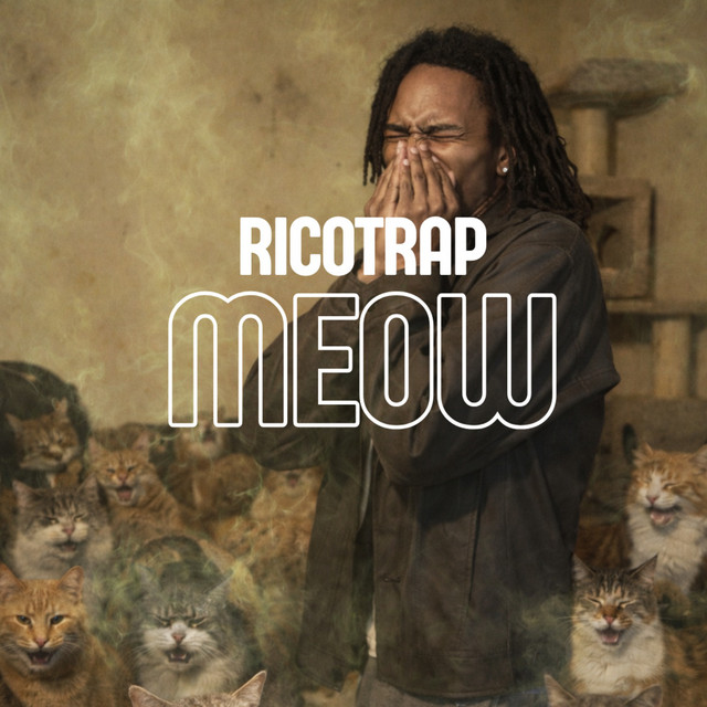 Meow