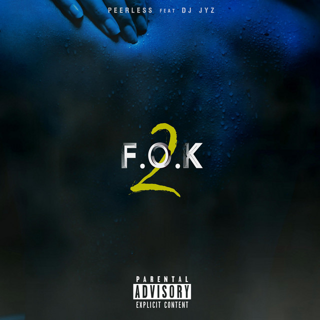 F.O.K 2 : Hiver album image