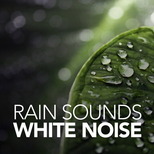 Rain Sounds & White Noise cover art
