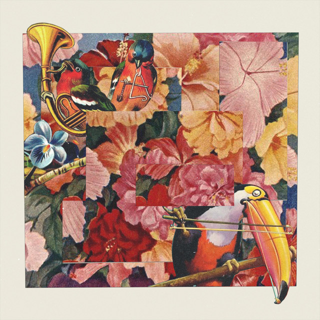 Motion Study cover art