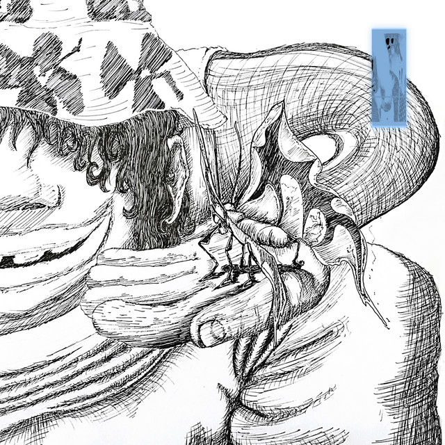Clumsy cover art