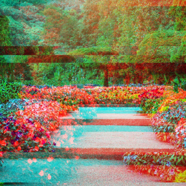 Background Music for Simple Curiosity cover art