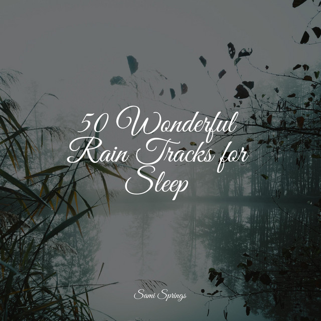 50 Wonderful Rain Tracks for Sleep - Album by Smart Baby Lullaby | Spotify