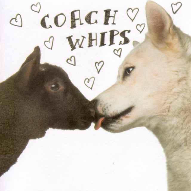 Bangers vs Fuckers cover art