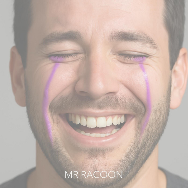 Gracias - Single by Mr Racoon | Spotify