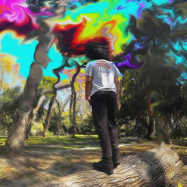 shadows cover art