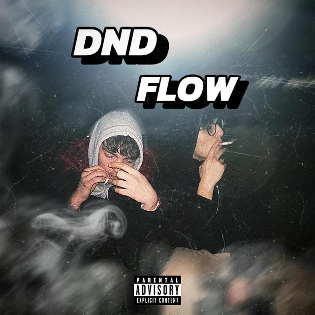 DND Flow cover art