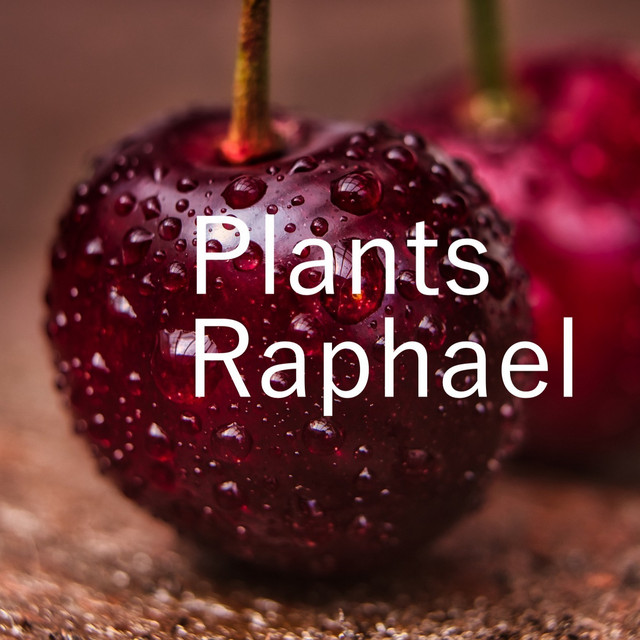 Plants cover art