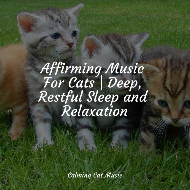 Affirming Music For Cats | Deep, Restful Sleep and Relaxation - Album ...