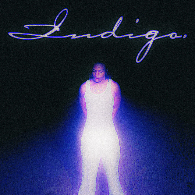 INDIGO. cover art