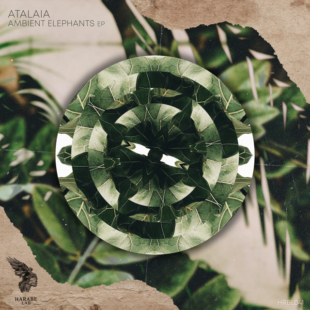 Ambient Elephants album art