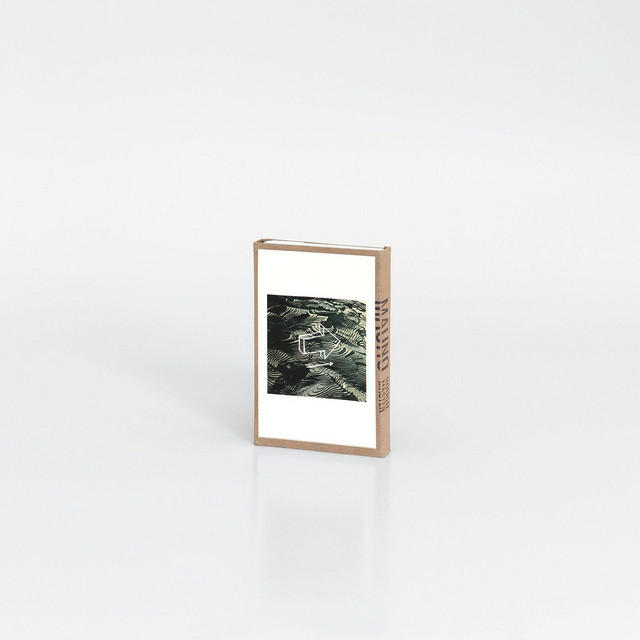 Rough Master cover art