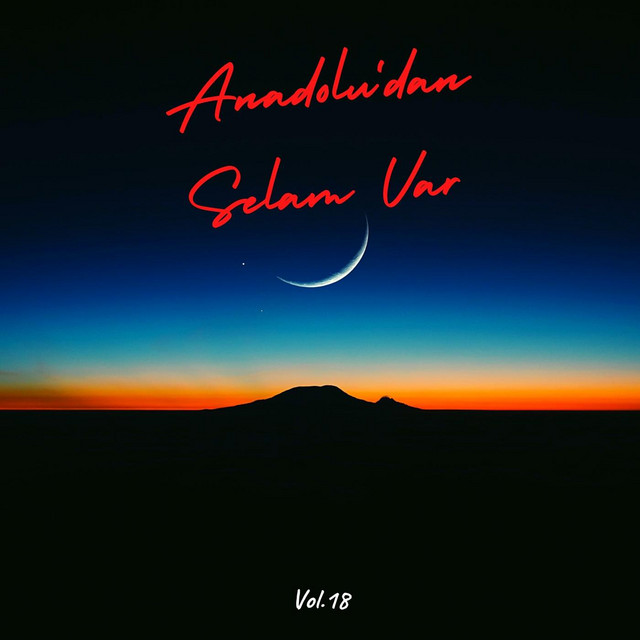 Anadolu'dan Selam Var, Vol. 18 cover art