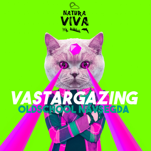 Oldschool Navsegda cover art