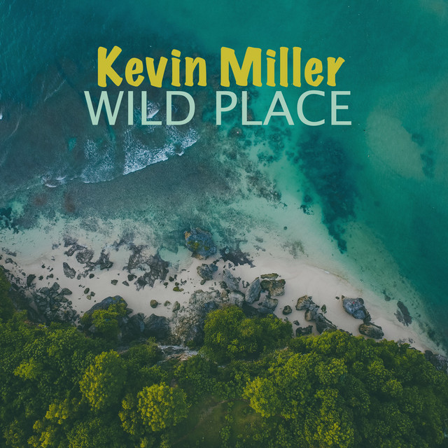 Wild Place cover art