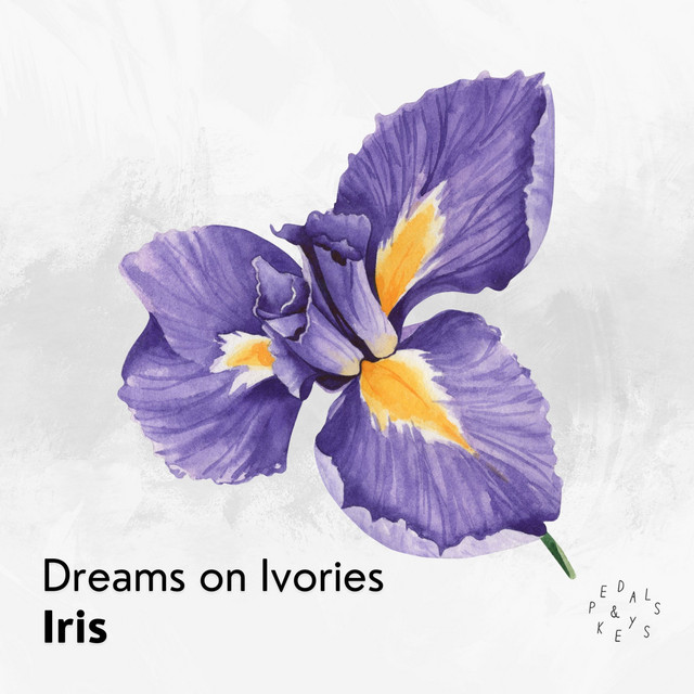 Iris (Piano Version) cover