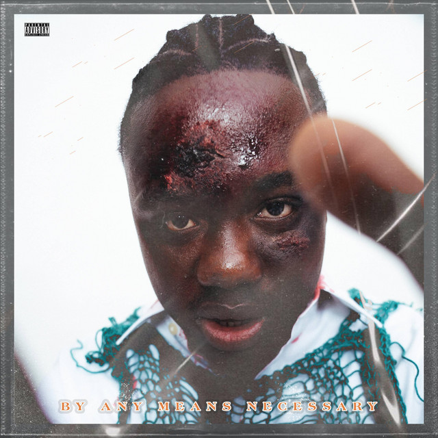 BY ANY MEANS NECESSARY cover art