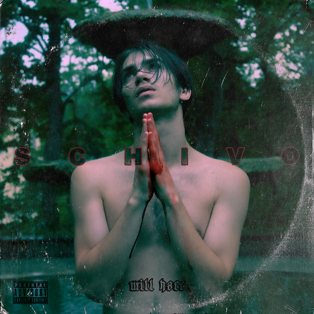 Schivo cover art