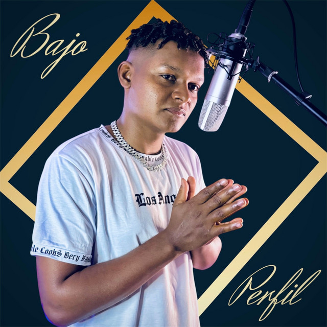 Bajo perfil