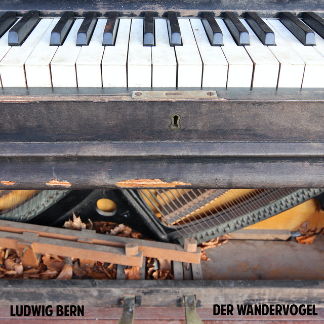 Der Wandervogel cover