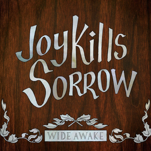 Joy Kills Sorrow Photo