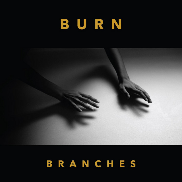 Burn cover art