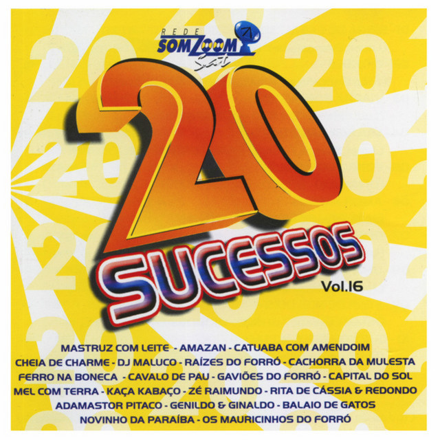 20 Sucessos Somzoom Sat, Vol.16 cover
