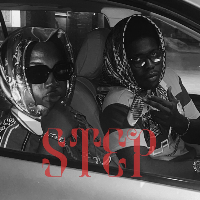 Step cover art