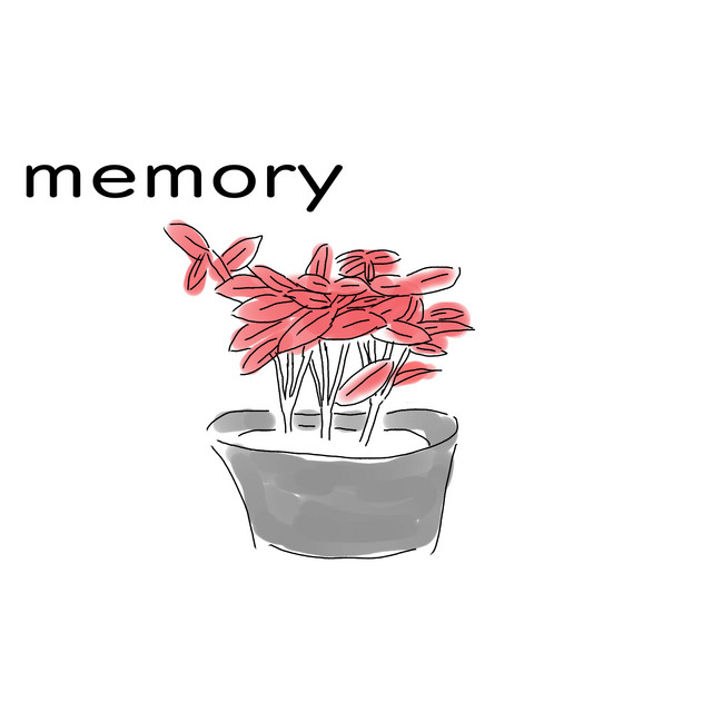 memory cover art
